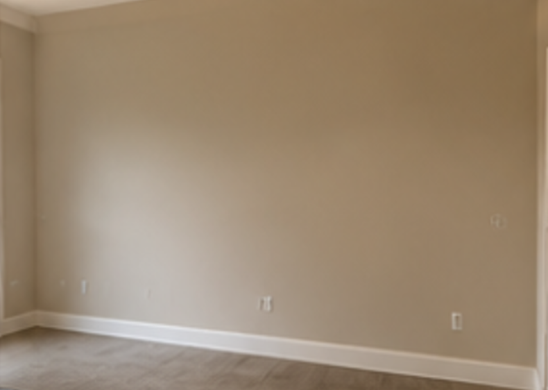 Before empty living room wall
